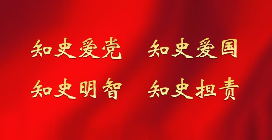 史上最胖柴犬，一脸鄙视看着人们说道：愚蠢的人类你们都没我胖